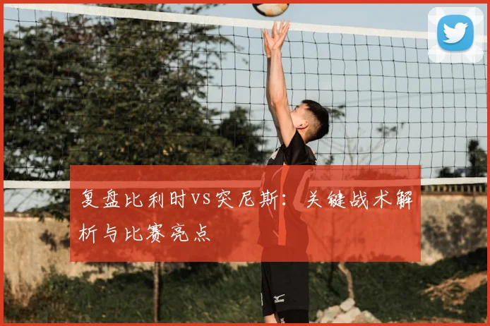 复盘比利时vs突尼斯：关键战术解析与比赛亮点