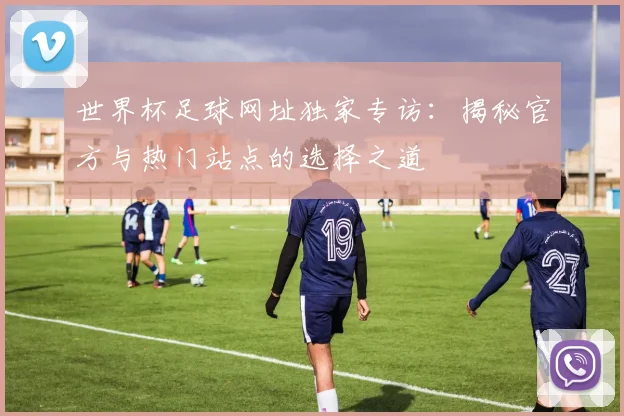 世界杯足球网址独家专访：揭秘官方与热门站点的选择之道