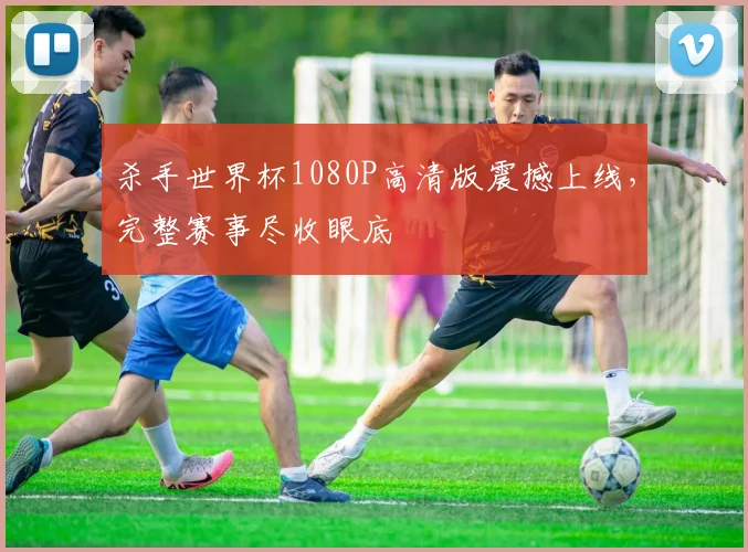 杀手世界杯1080P高清版震撼上线，完整赛事尽收眼底