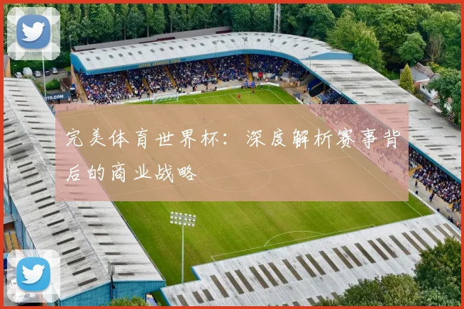完美体育世界杯：深度解析赛事背后的商业战略