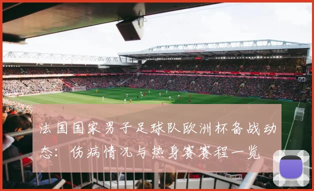 法国国家男子足球队欧洲杯备战动态：伤病情况与热身赛赛程一览